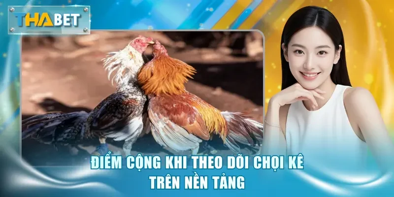 Đá Gà Trực Tuyến - Giải Trí Tiện Lợi Và An Toàn Tuyệt Đối