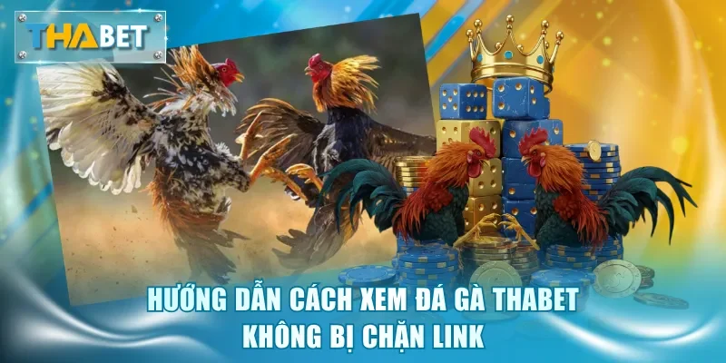 Đá Gà Thabet - Sảnh Cược Kịch Tính, Tỷ Lệ Thưởng Hấp Dẫn