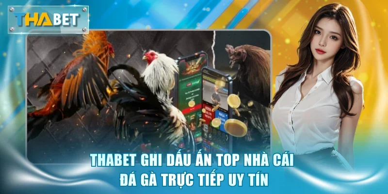 Top Nhà Cái Đá Gà Trực Tiếp Uy Tín - Vinh Danh Số 1 Thabet