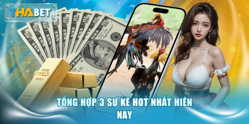 Đá Gà Cựa Sắt Thabet - Đấu Trường Kịch Tính Và Thưởng Lớn