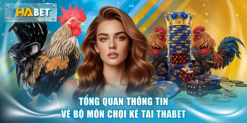 Đá Gà Thabet - Sảnh Cược Kịch Tính, Tỷ Lệ Thưởng Hấp Dẫn