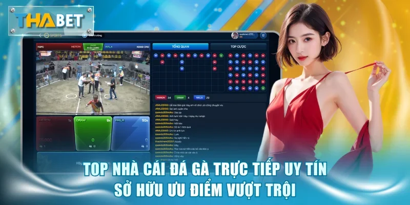 Top Nhà Cái Đá Gà Trực Tiếp Uy Tín - Vinh Danh Số 1 Thabet