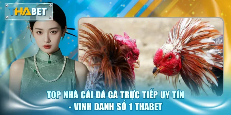 Đá Gà Thabet - Sảnh Cược Kịch Tính, Tỷ Lệ Thưởng Hấp Dẫn
